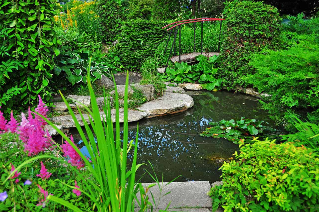 Ready-made ponds – hit or miss?