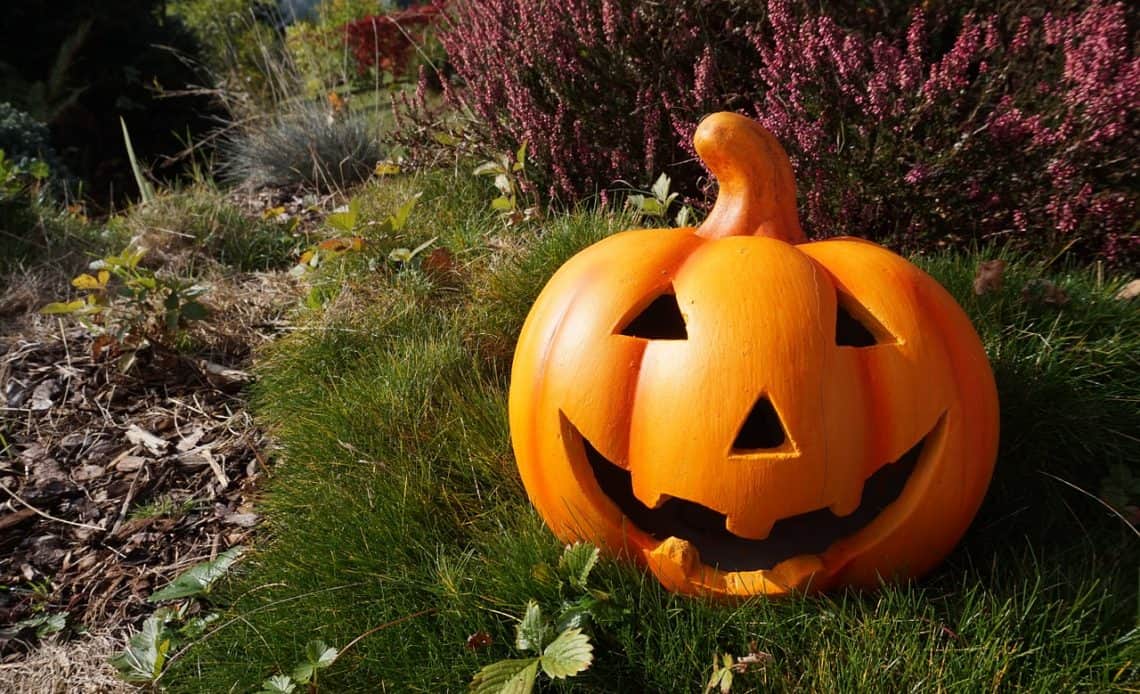 dekoracja z dyni na helloween