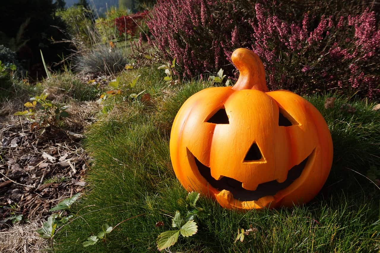 Start preparing for Halloween! Explore proven pumpkin lantern ideas
