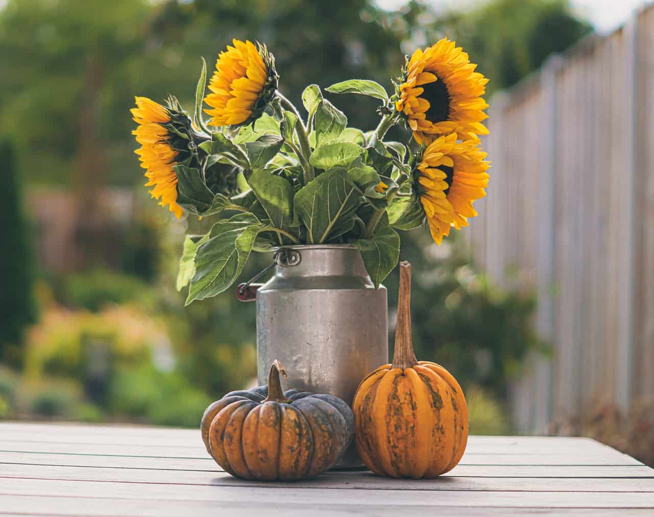DIY pumpkin decorations for your porch and home!