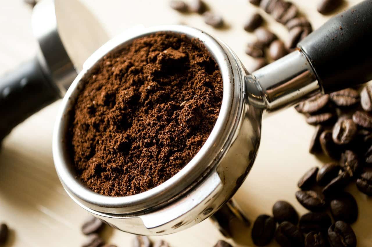 Coffee grounds as fertilizer? Find out which plants like it