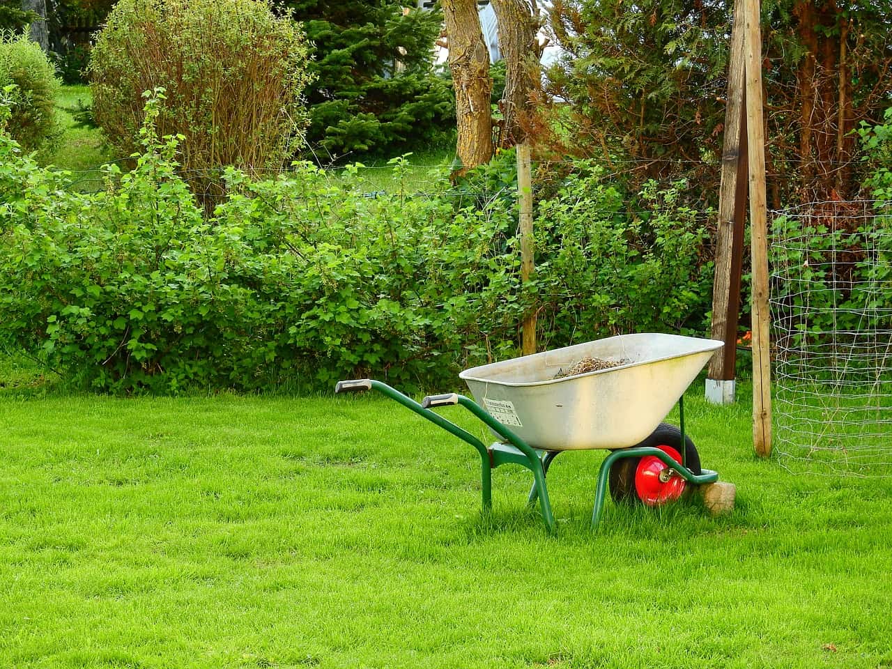 Find out when and how to sow grass