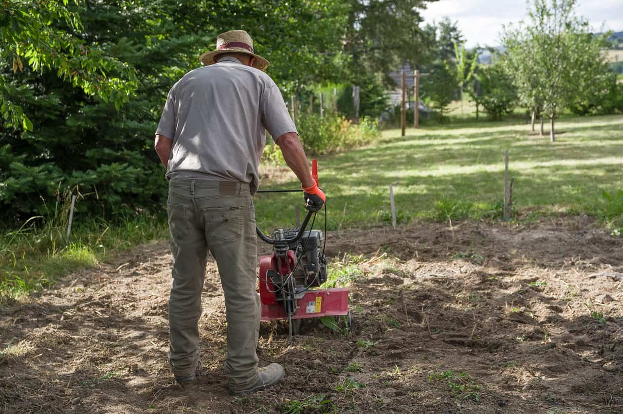 Establishing a lawn. The most common mistakes