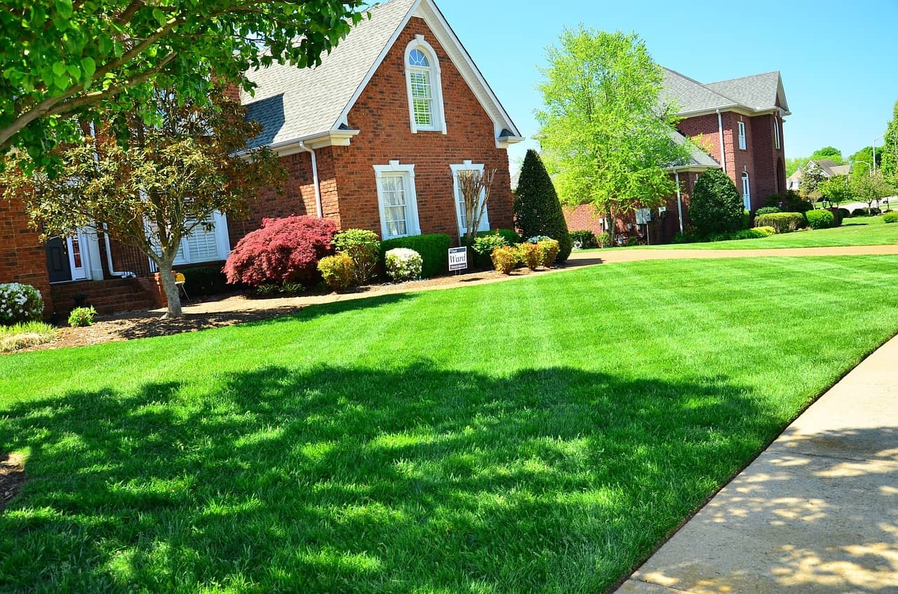 The best patents for a beautiful and green lawn for years to come!