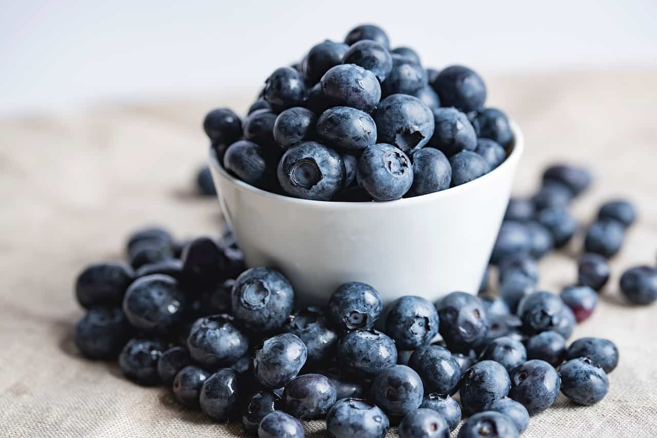 Top 7 blueberry varieties