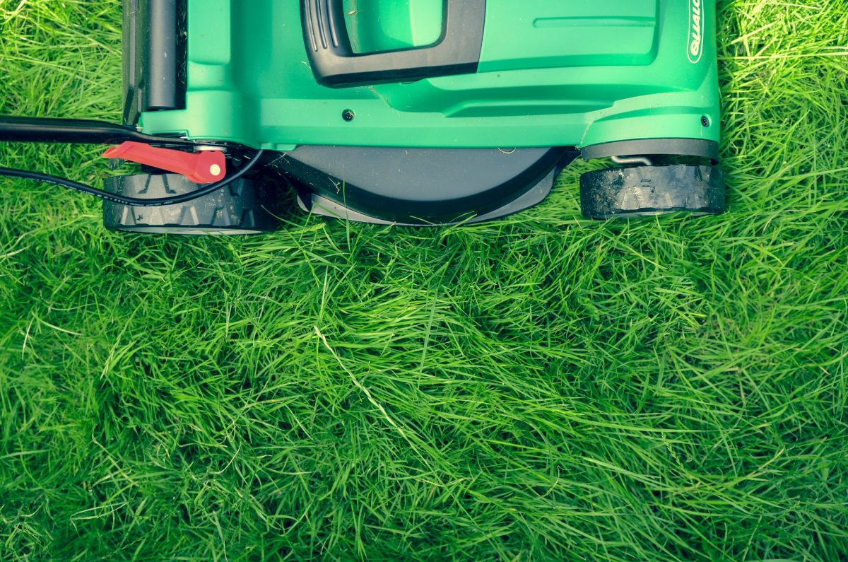 By when to mow the grass in the garden?