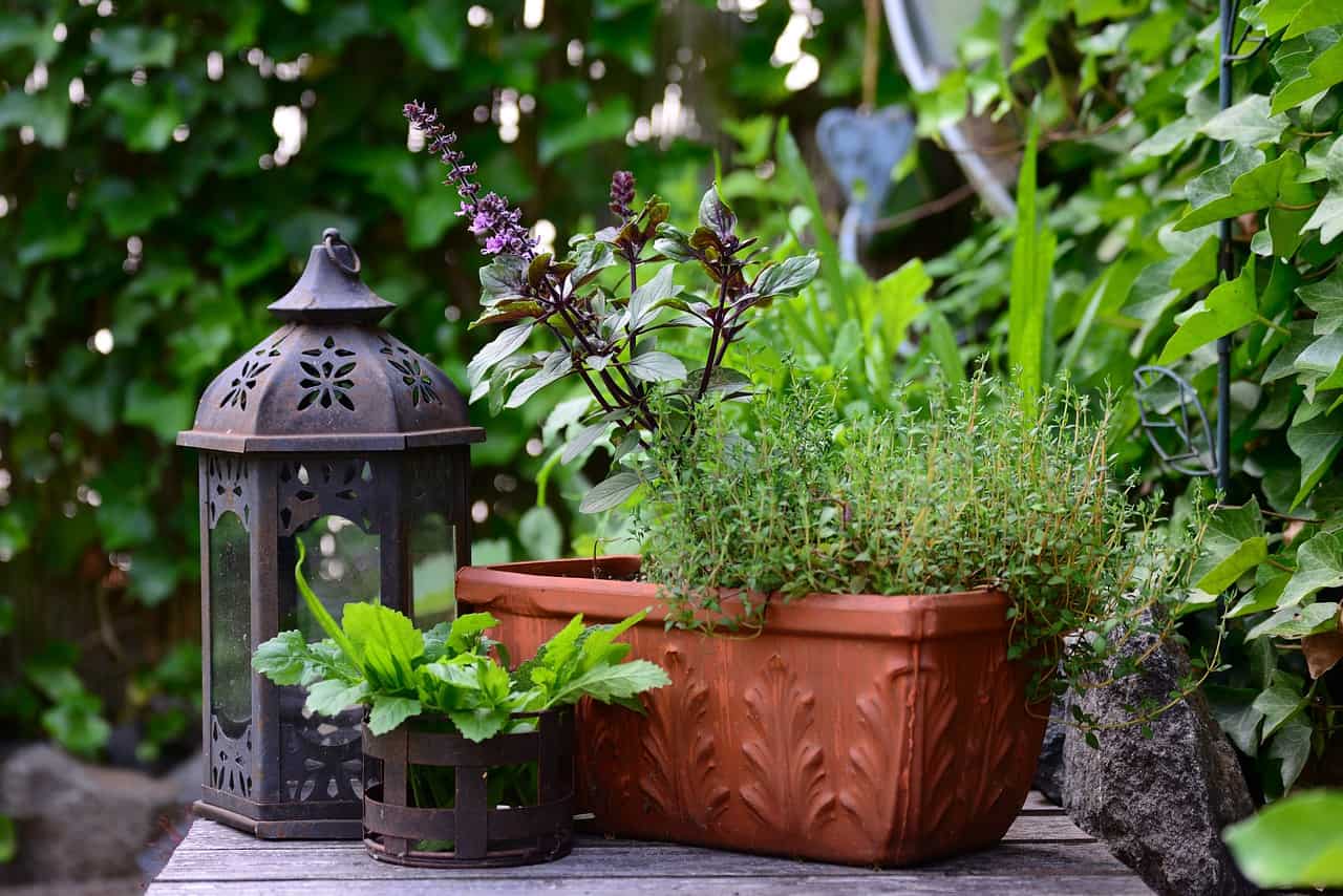 What year-round plants work well on a balcony?