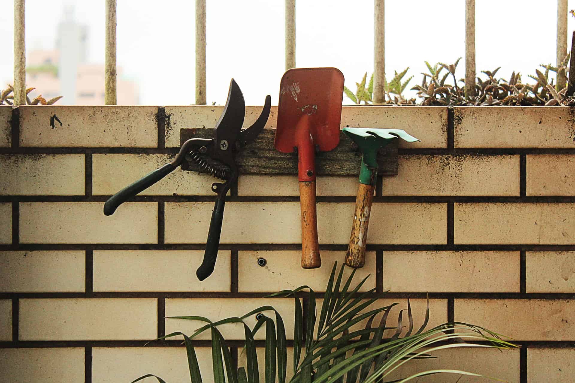 Weeding tools. What’s good to have for gardening?
