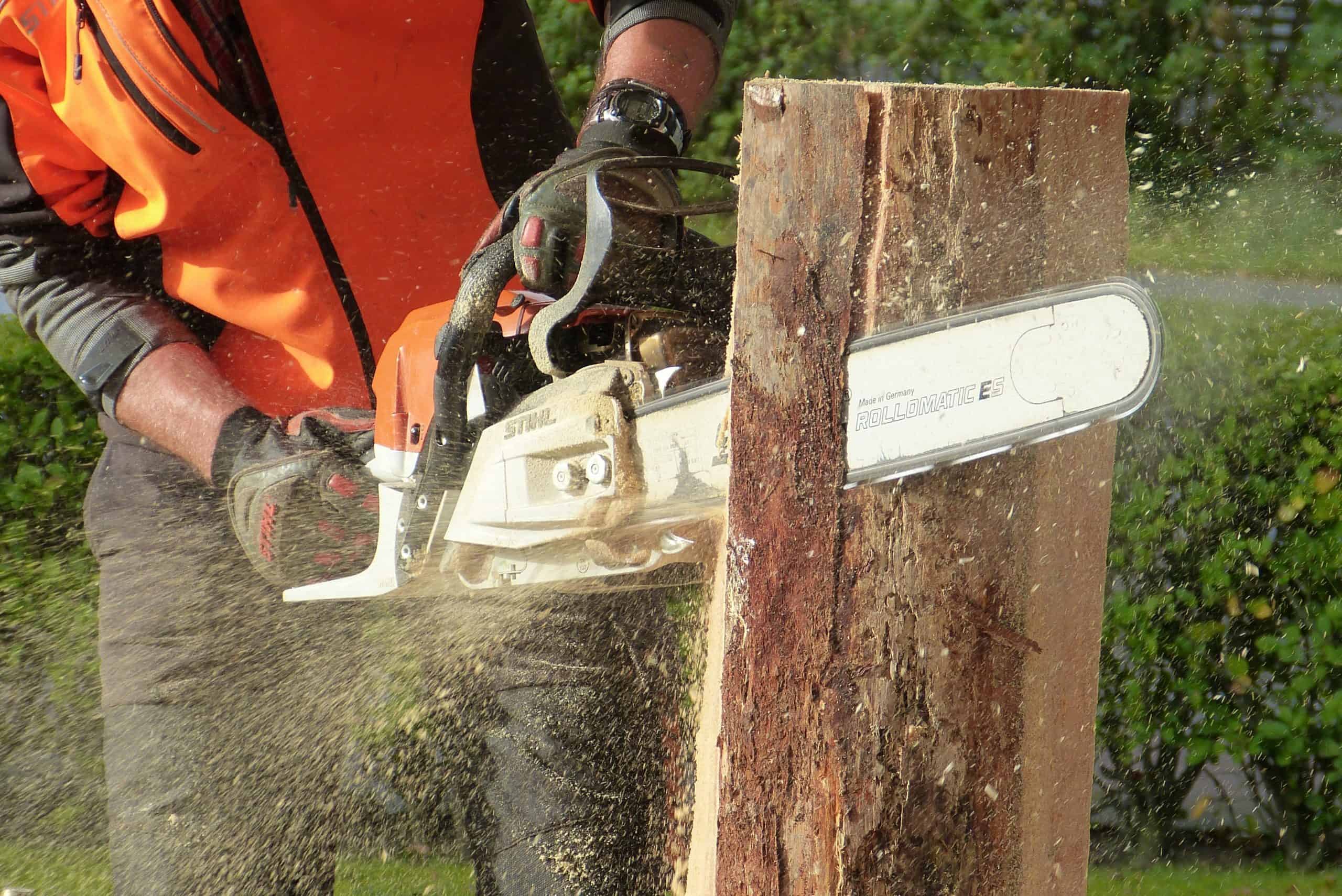 Wood saw – when is it worth buying one?