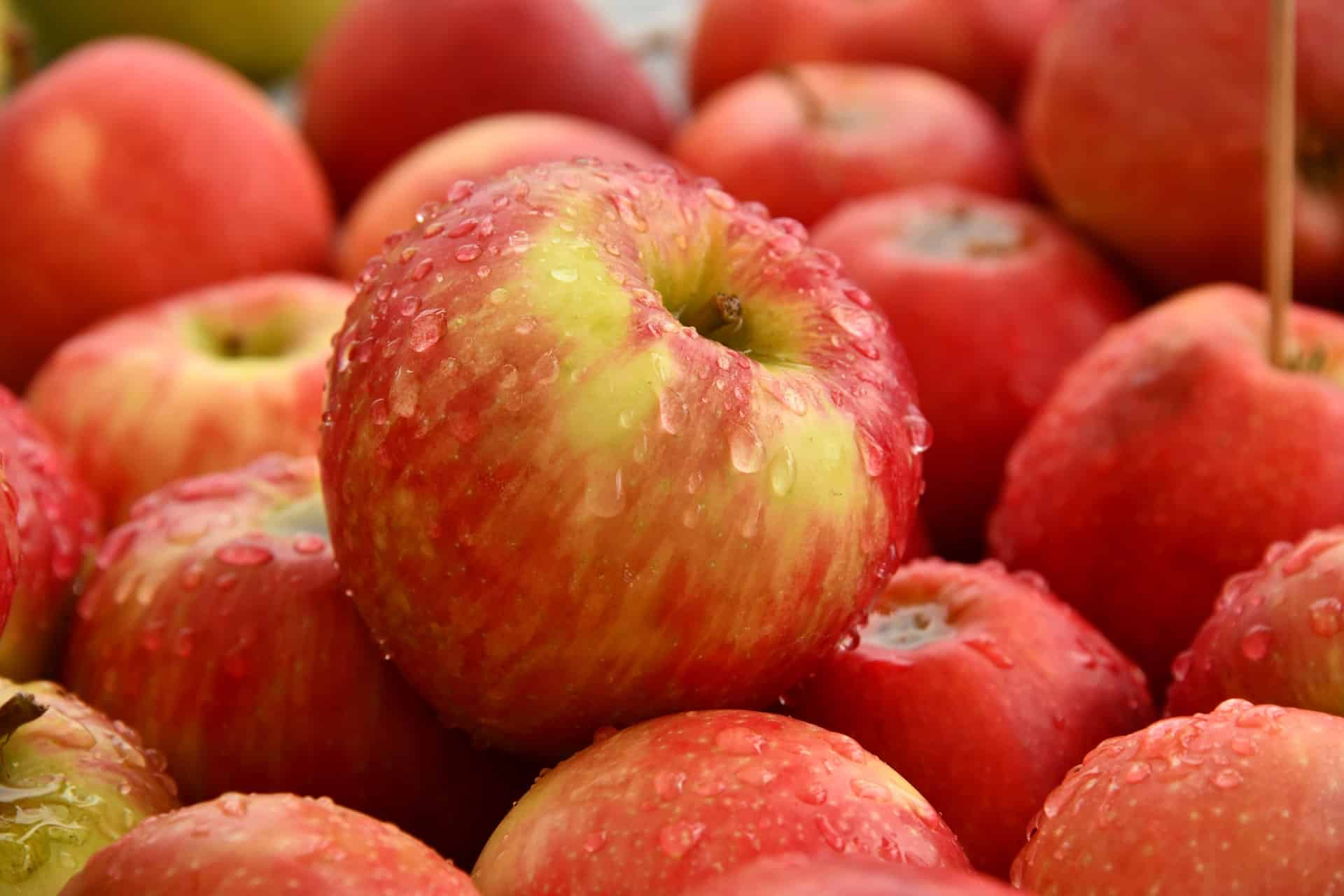 Best fall apples – varieties and storage