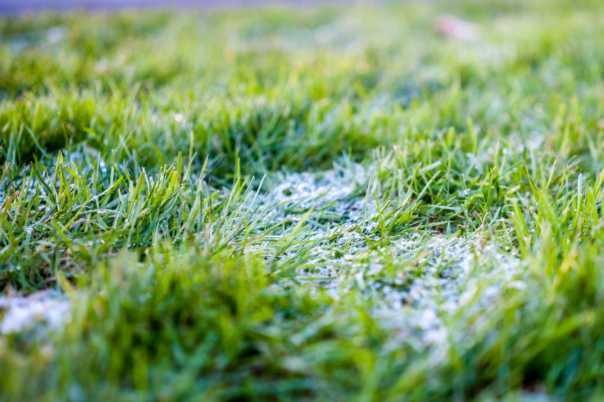 How do I prepare my lawn for winter?