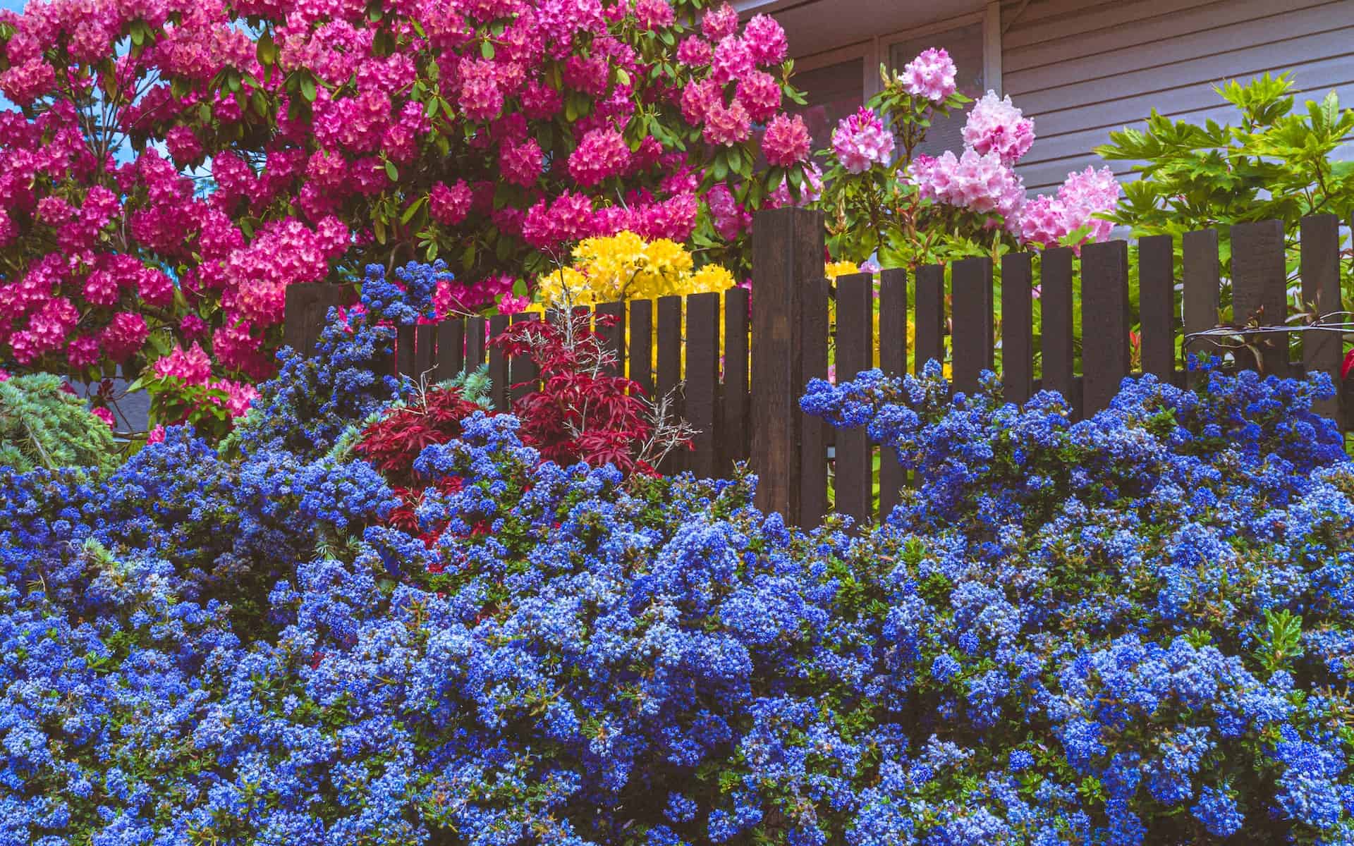 What are the most durable garden fences?