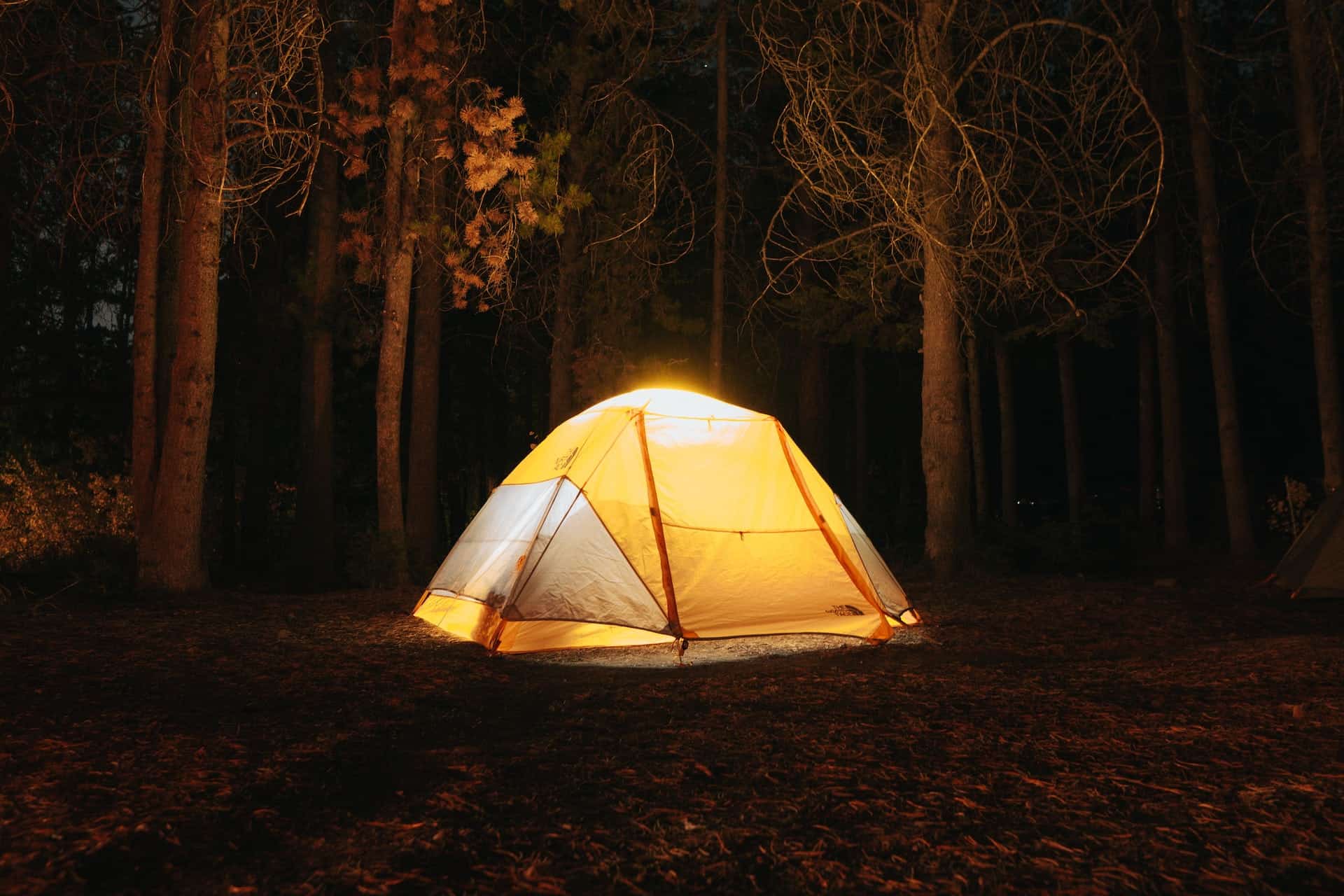How to Choose the Perfect Tent for Your Backyard
